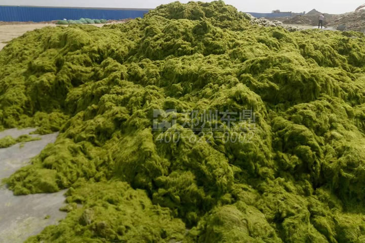 牧草烘干機(jī)如何科學(xué)選型？牧草烘干過程中營養(yǎng)成分會(huì)流失嗎