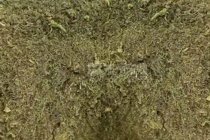 牧草烘干機(jī)如何科學(xué)選型？牧草烘干過程中營養(yǎng)成分會(huì)流失嗎
