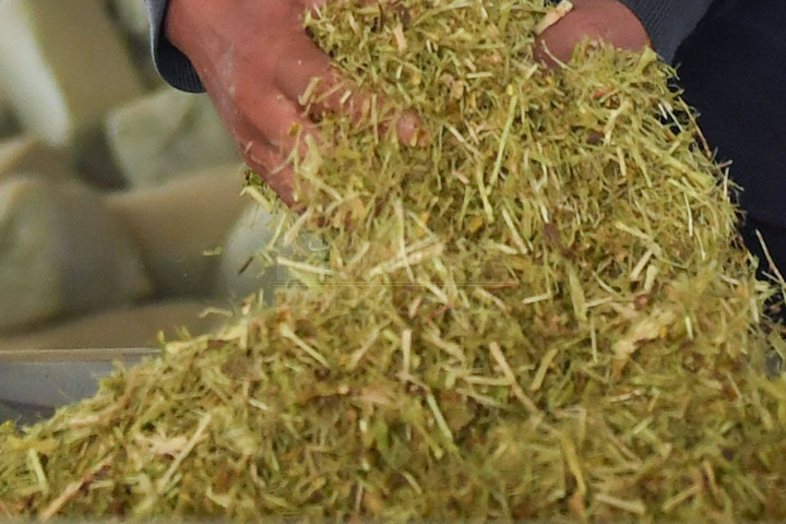 生物質(zhì)烘干機(jī)廠家鄭州東鼎干燥開發(fā)了大型檸條烘干機(jī)成套設(shè)備，實(shí)現(xiàn)了檸條資源規(guī)?；弥贰?></div>
                                                <div   id=